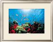 Aquarium by Federico Busonero Limited Edition Print