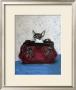 Chihuahua Purse by Carol Dillon Limited Edition Pricing Art Print