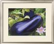 Vegetable Garden Ii by Bethany Wilson Limited Edition Print