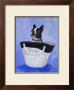 Boston Basket by Carol Dillon Limited Edition Print