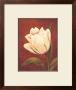 Tulip On Red by Ella Belamar Limited Edition Pricing Art Print