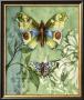Embellished Vibrant Butterflies I by Jennifer Goldberger Limited Edition Print