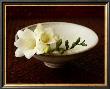 Freesia And Bowl by Florence Rouquette Limited Edition Print