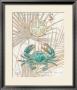 Directional Crab by Chad Barrett Limited Edition Pricing Art Print