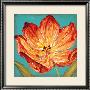 Flame Tulip Ii by Karen Leibrick Limited Edition Print