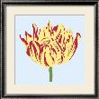 Soho Tulip Ii by Zachary Alexander Limited Edition Print