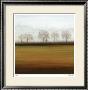 Tuscan Field I by Elise Remender Limited Edition Print