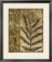 Plant Exotica I by Nancy Slocum Limited Edition Pricing Art Print