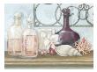 Bath Essentials Ii by Julia Hawkins Limited Edition Print