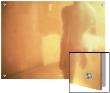 Standing Nude Male Figure In Golden Light, Rear View by L.T. Limited Edition Print
