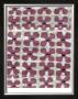 Silk Road Ikat Iii by Chariklia Zarris Limited Edition Print