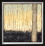 Winter Reverie Iii by Jennifer Goldberger Limited Edition Pricing Art Print