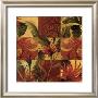 Tropical Serenade I by Clay Taylor Limited Edition Print