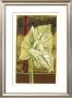 Moonlit Foliage I by Jennifer Goldberger Limited Edition Pricing Art Print