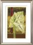 Moonlit Foliage I by Jennifer Goldberger Limited Edition Print