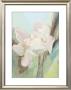Fleurs Printanieres Ii by Chantal Parise Limited Edition Pricing Art Print