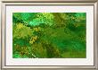 Verdure Abstaction by Menaul Limited Edition Pricing Art Print