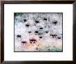 Fifteeen Holes, 1987 by Miquel Barcelo Limited Edition Pricing Art Print