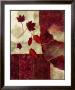 Cranberry Fall Ii by Norm Olson Limited Edition Print