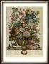 June by Robert Furber Limited Edition Pricing Art Print