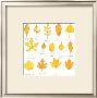Yellow Leaves by Hiro Kawada Limited Edition Print