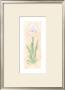 Iris Soliloquy Ii by Nancy Kaestner Limited Edition Pricing Art Print