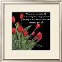 Night Time Tulips by Anne Courtland Limited Edition Pricing Art Print
