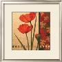 Red Poppy With Teal Damasque by T. C. Chiu Limited Edition Pricing Art Print