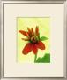 Mexican Sunflower by Wally Eberhart Limited Edition Pricing Art Print