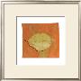 Autumn Leaves Iii by M. Della Casa Limited Edition Print