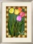 Tulip Flowers by Kate Ward Thacker Limited Edition Pricing Art Print