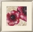 Bloomers Iii by Dysart Limited Edition Print