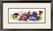 Iris And Pansy by Andrea Brooks Limited Edition Print