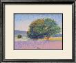 Trees In Provence by Gail Wells-Hess Limited Edition Print