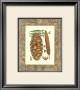 Leather Framed Pine Cones I by Deborah Bookman Limited Edition Print