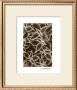 Garden Textures Iii by Laura Denardo Limited Edition Pricing Art Print