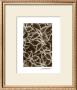 Garden Textures Iii by Laura Denardo Limited Edition Print