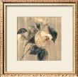 Peony I by Cara Jones Limited Edition Pricing Art Print