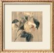 Peony I by Cara Jones Limited Edition Print