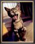 Laugh Out Loud by Robert Mcclintock Limited Edition Print