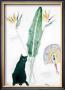 Black Cat And Strelitzia by Elizabeth Blackadder Limited Edition Print