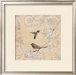 Hummingbird And Cherry by Jill Schultz Mcgannon Limited Edition Pricing Art Print