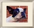 Boston Puppy by Robert Mcclintock Limited Edition Pricing Art Print