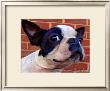 Boston Puppy by Robert Mcclintock Limited Edition Print