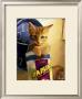 Orange Cat In Raisin Box by Robert Mcclintock Limited Edition Print