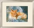 Punkin The Cat by Joanne Dibiase Limited Edition Print