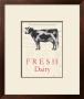 Fresh Dairy by Barb Lindner Limited Edition Print