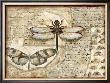 Poetic Dragonfly I by Chariklia Zarris Limited Edition Print