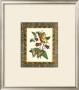 Leather Framed Butterflies I by Deborah Bookman Limited Edition Print