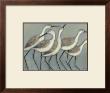 Shore Birds Ii by Norman Wyatt Jr. Limited Edition Print